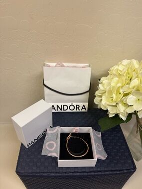 Pandora Rose Gold Snake Chain Bracelet
